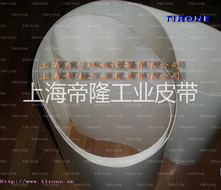 上海帝隆PVC防静电输送皮带批发