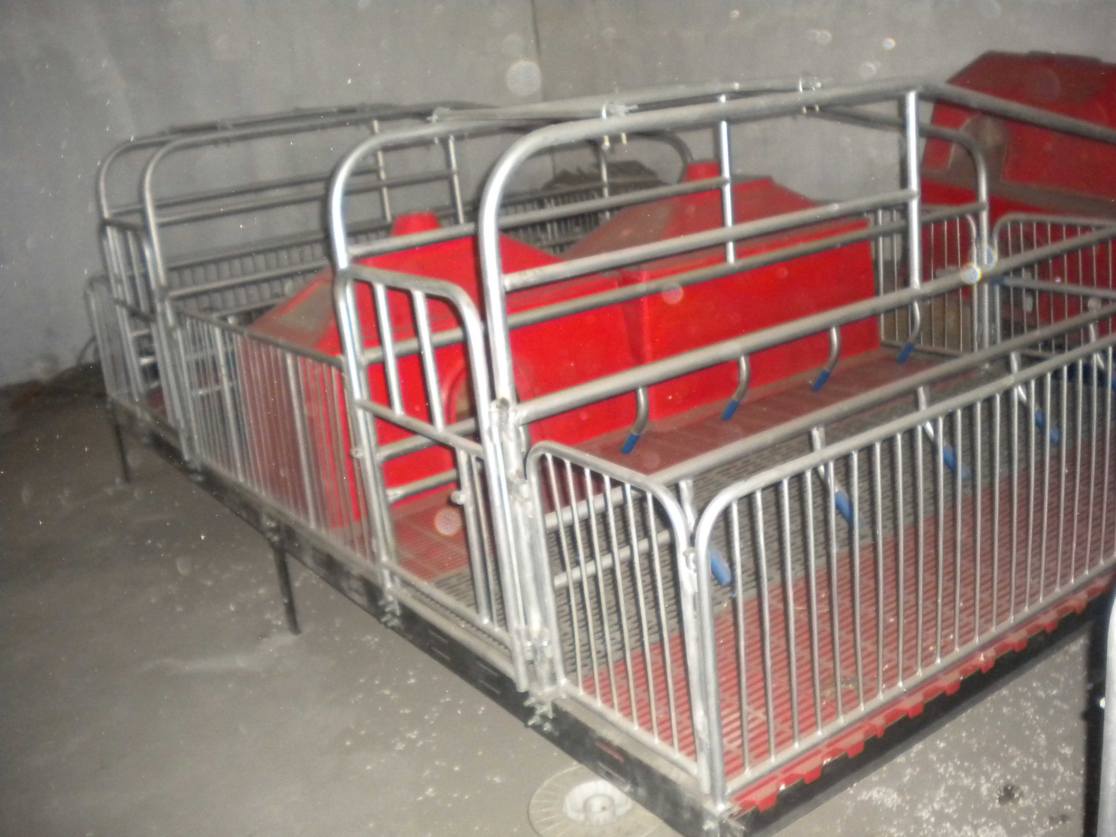 沧州市批发单体母猪产床与母猪分娩床厂家