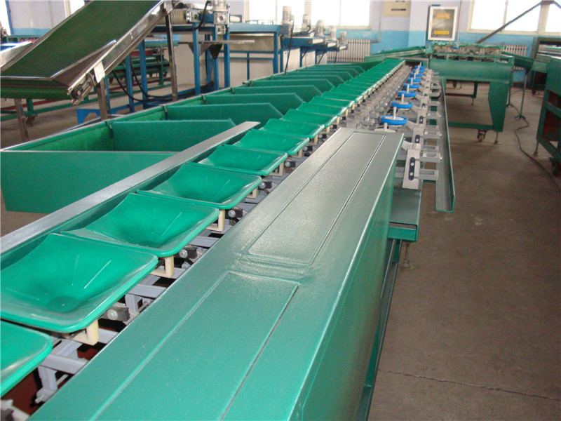 供应用于区分枣大小的惠州牛奶蜜枣分果机厂家直销