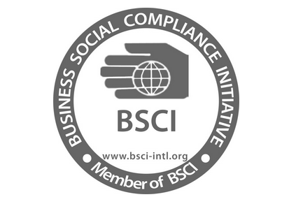 湖州BSCI认证年审咨询,bsci认证审核周期,bsci认证培训图片