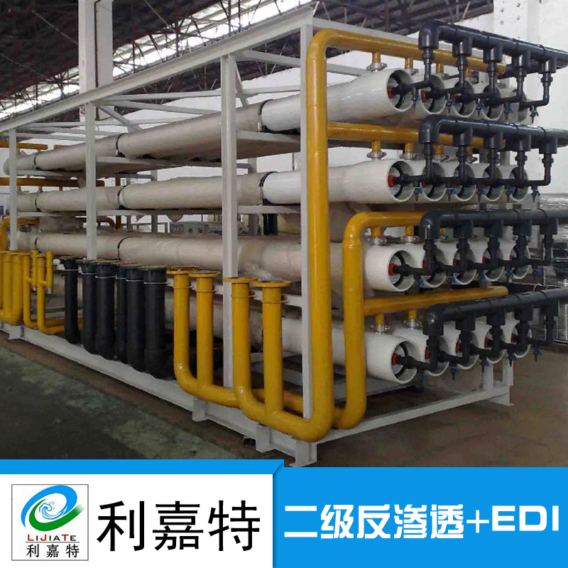供应二级反渗透EDI设备 水处理设备 EDI纯水设备 反渗透纯水设备