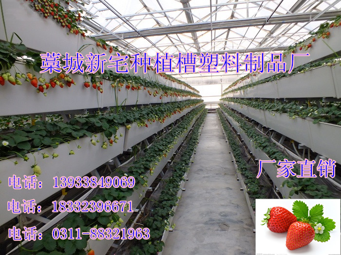 供应藁城草莓种植槽无土栽培