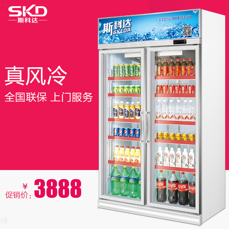 供应斯科达饮料柜立式冷藏展示柜双门超图片