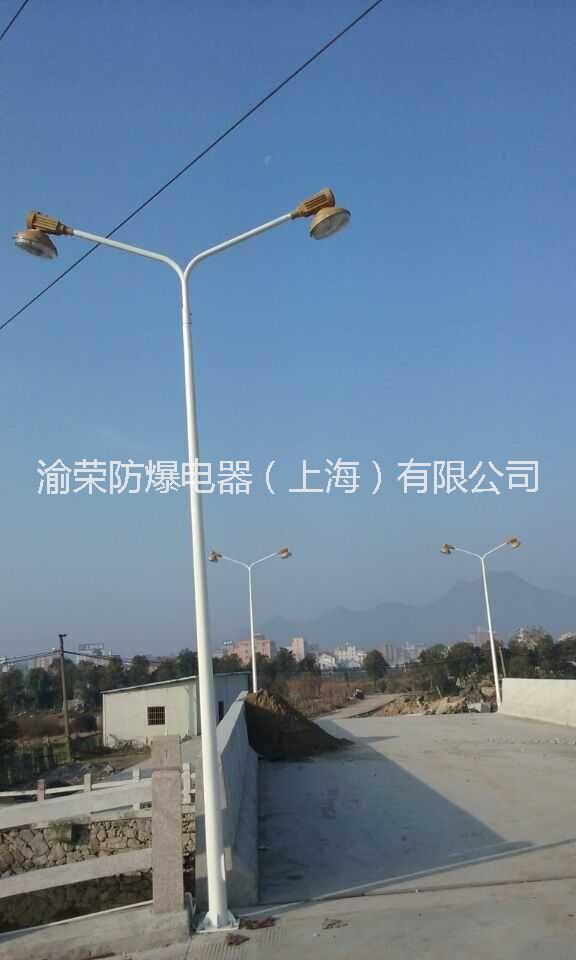 供应甘肃省定西地区LED防爆路灯特价 陇西县双灯头LED防爆路灯参数