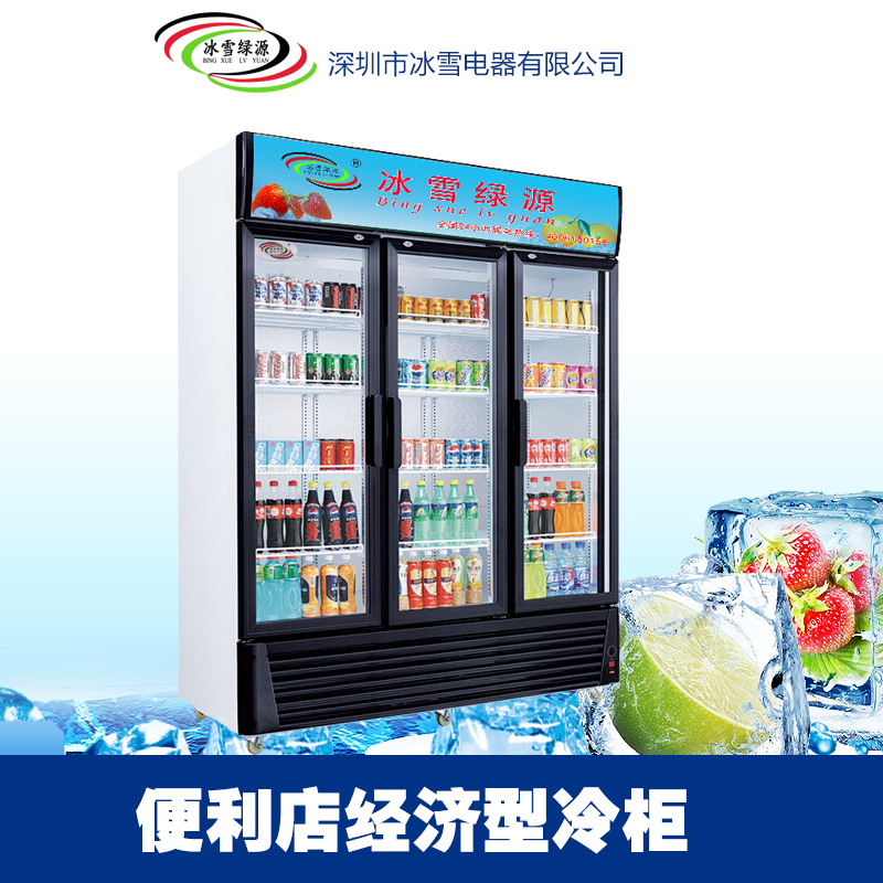 厂家供应 便利店经济型冷柜 单门直冷展示柜 饮料冷柜