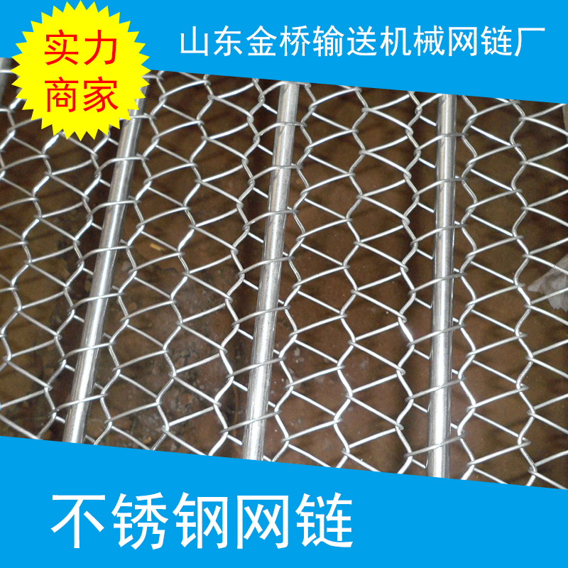 供应用于的不锈钢冷冻网带 网链/不锈钢冷冻食品输送网带厂家直销