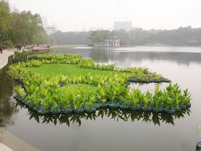 供应用于水生植物的河北人工浮岛基地|价格