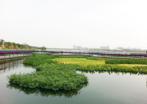 供应用于水生植物的河北人工浮岛基地|价格图片