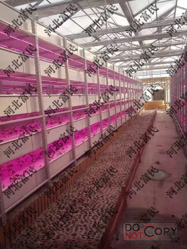 供应草莓立体种植槽VC种植槽，富民立体种植技术，富民免费无土栽培技术，富民塑业图片