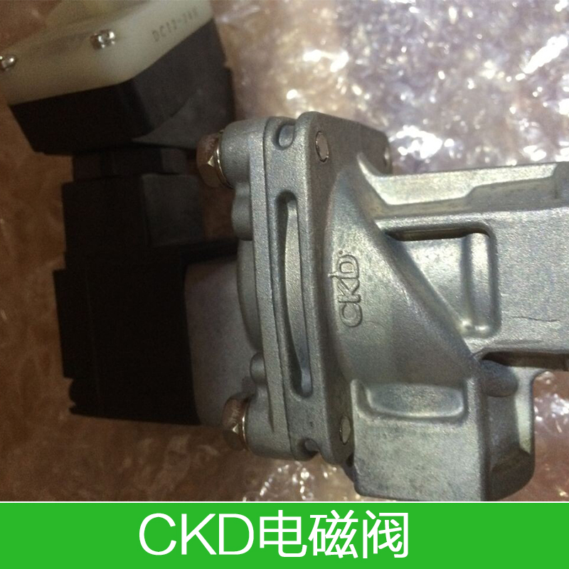 供应CKD电磁阀厂家  4F310E-08-TP-AC220V/Z大量现货