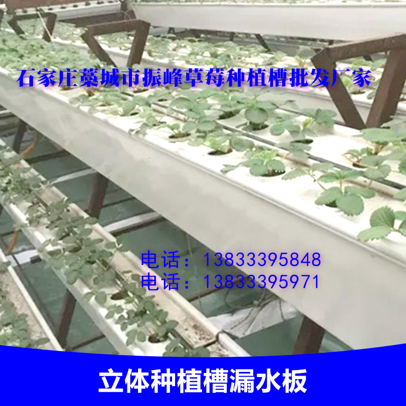 河北种植槽漏水板优质供应商