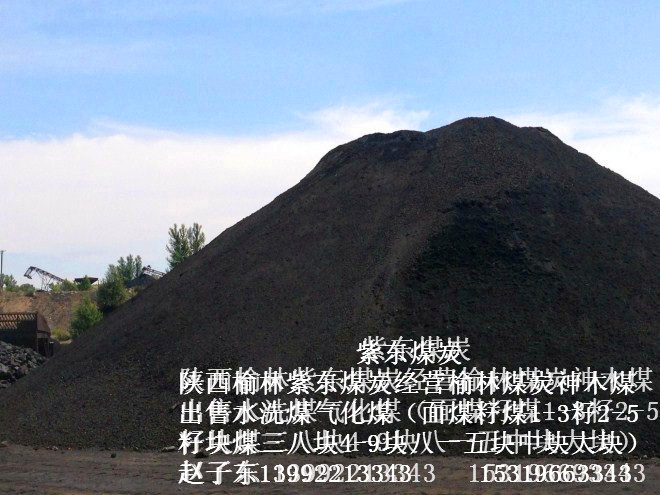 供应用于民用的陕西煤炭榆林煤炭价格神木煤炭出售面煤1-3籽煤2-5籽煤3-6籽煤销售煤矿直销