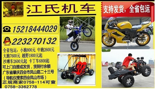 供应用于杭州沙滩车的杭州沙滩车越野摩托跑车迷你车厂家 杭州沙滩车厂家4轮摩托车销售