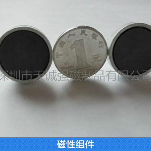 供应用于磁性的磁性组件 磁性挂钩 高性能磁性材料 圆饼 异形磁铁