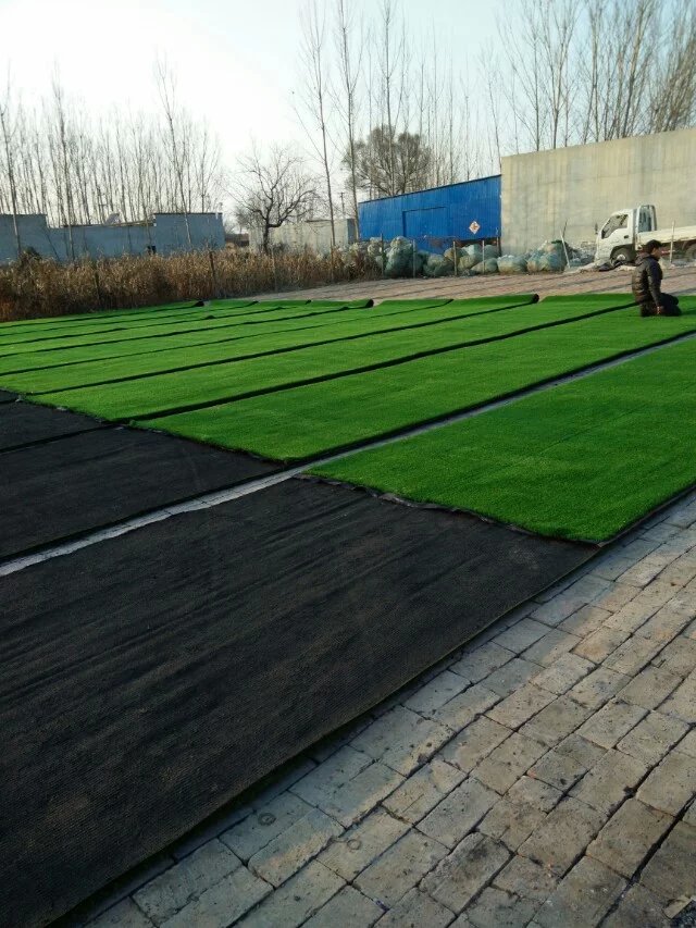 沧州市仿真地毯草生产厂家厂家供应仿真地毯草生产厂家