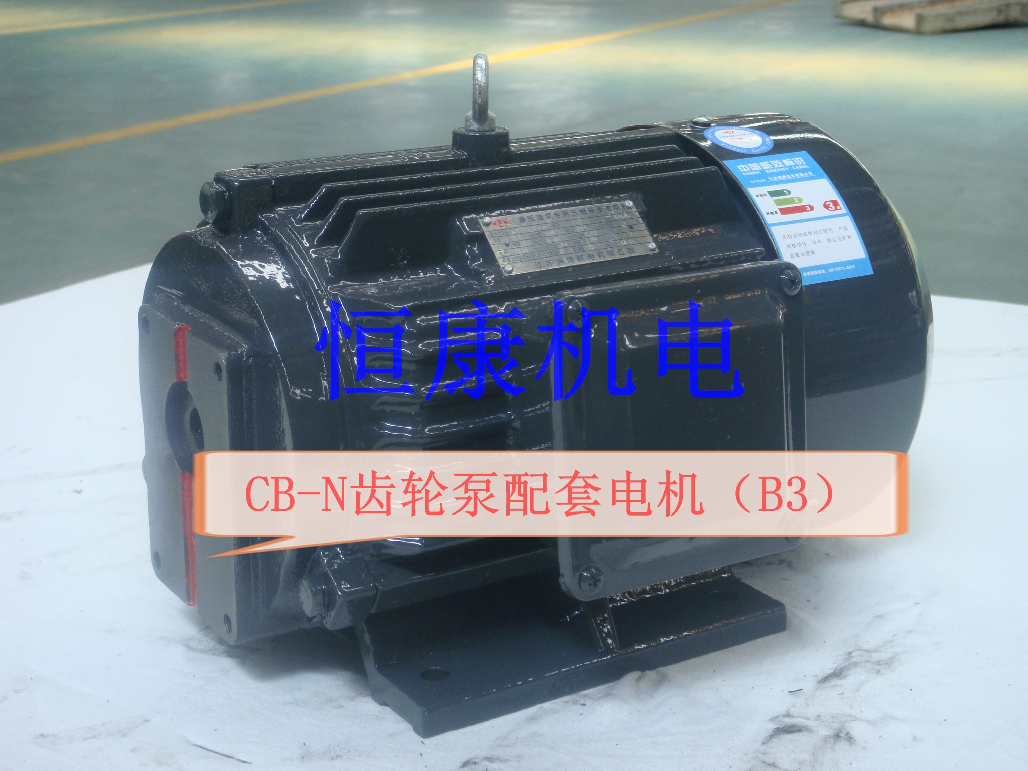供应CB-N/CB-N齿轮泵电机，适用于液压行业等