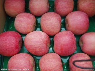 营口市批发出售红富士苹果厂家供应批发出售红富士苹果