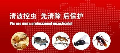 供应沧州专业家庭灭红蚂蚁黑蚂蚁黄蚂蚁,虫害控制范围：飞虫，如：蚊子、苍蝇；爬虫，如：蟑螂、老鼠、蚂蚁、跳蚤、臭虫等