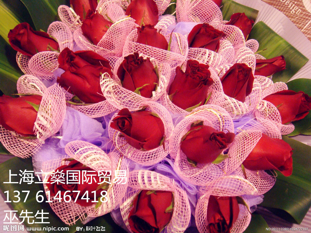供应用于上海花边玫瑰的上海花边玫瑰操作代理