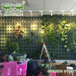 植物墙_植物墙种植箱_植物墙花盆_墙面绿化图片
