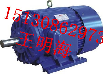 供应衡水永动YX3-90S-6-0.75KW高效节能三相异步电动机
