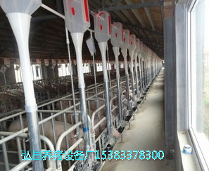 沧州市养猪场自动化喂料系统厂家