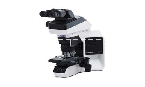 供应奥林巴斯生物显微镜BX43图片