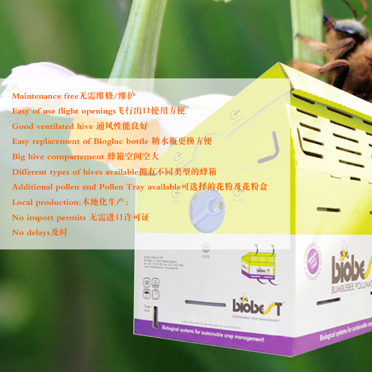 熊蜂丨熊蜂授粉丨熊蜂授粉技术熊蜂丨熊蜂授粉丨熊蜂授粉技术丨北京嘉禾源硕