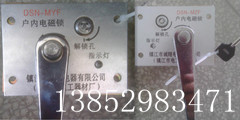 供应DSN-MZF/MYF户内电磁锁图片