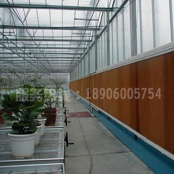 厦门水帘湿帘墙工业冷风机蒸发式环保空调
