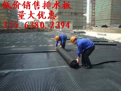 供应专业生产【屋顶绿化排水板】绿化专用排水板厂家/价格