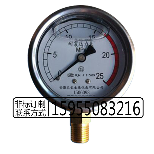 供应不锈钢耐震压力表YN-100BF