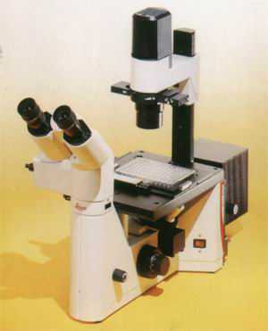 供应倒置生物显微镜