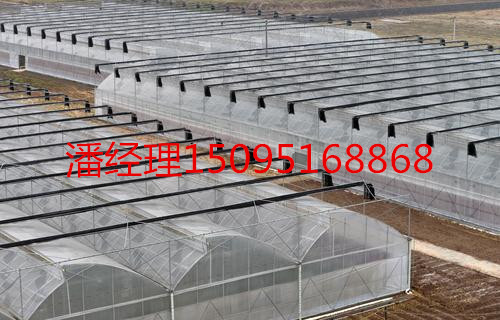 潍坊市建设玻璃温室大棚厂家供应用于育苗的建设玻璃温室大棚