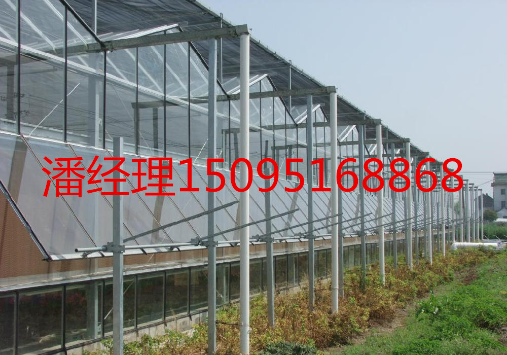 潍坊市建设温室大棚1厂家供应用于育苗的建设温室大棚1