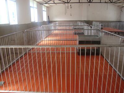 供应用于保育床定做|仔猪保育床的供应腾达直销仔猪保育床