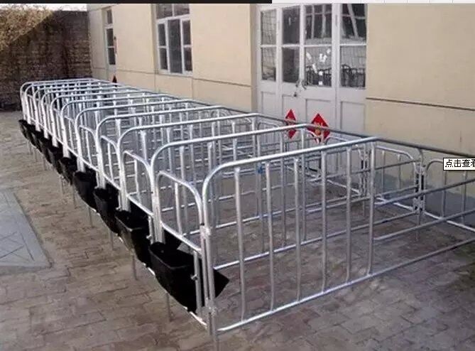 供应用于母猪限位栏 的弘昌批发限位栏 限位栏厂家生产