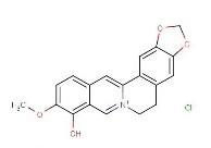 联合实验室直销小檗红碱、15401-69-1、Berberrubine，小檗红碱价格，小檗红碱批发