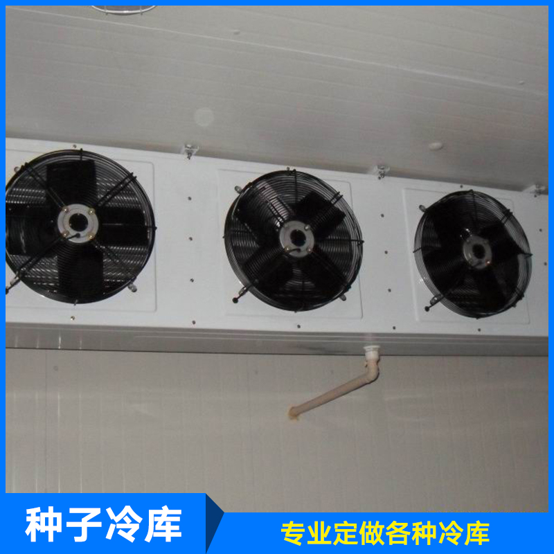供应厂家直销生产定制制冷设备保鲜冷库种子冷库