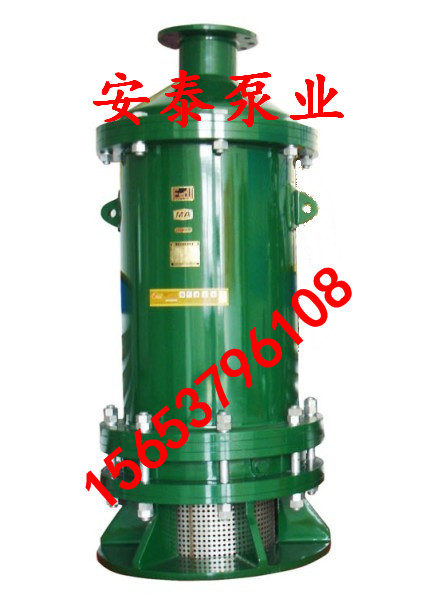 供应用于潜水泵生产的福建BQS矿用隔爆型潜水排沙电泵图片