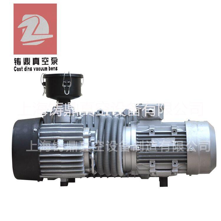 供应铸鼎单级旋片真空泵XD-2024.5KW电机抽速快可定制非标脱泡真空泵图片
