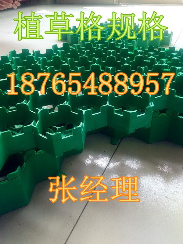 供应北京新型壁厚3毫米植草格新品上市，图片
