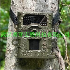 供应供应夜鹰SG-008（940nM）野生动物红外监测相机