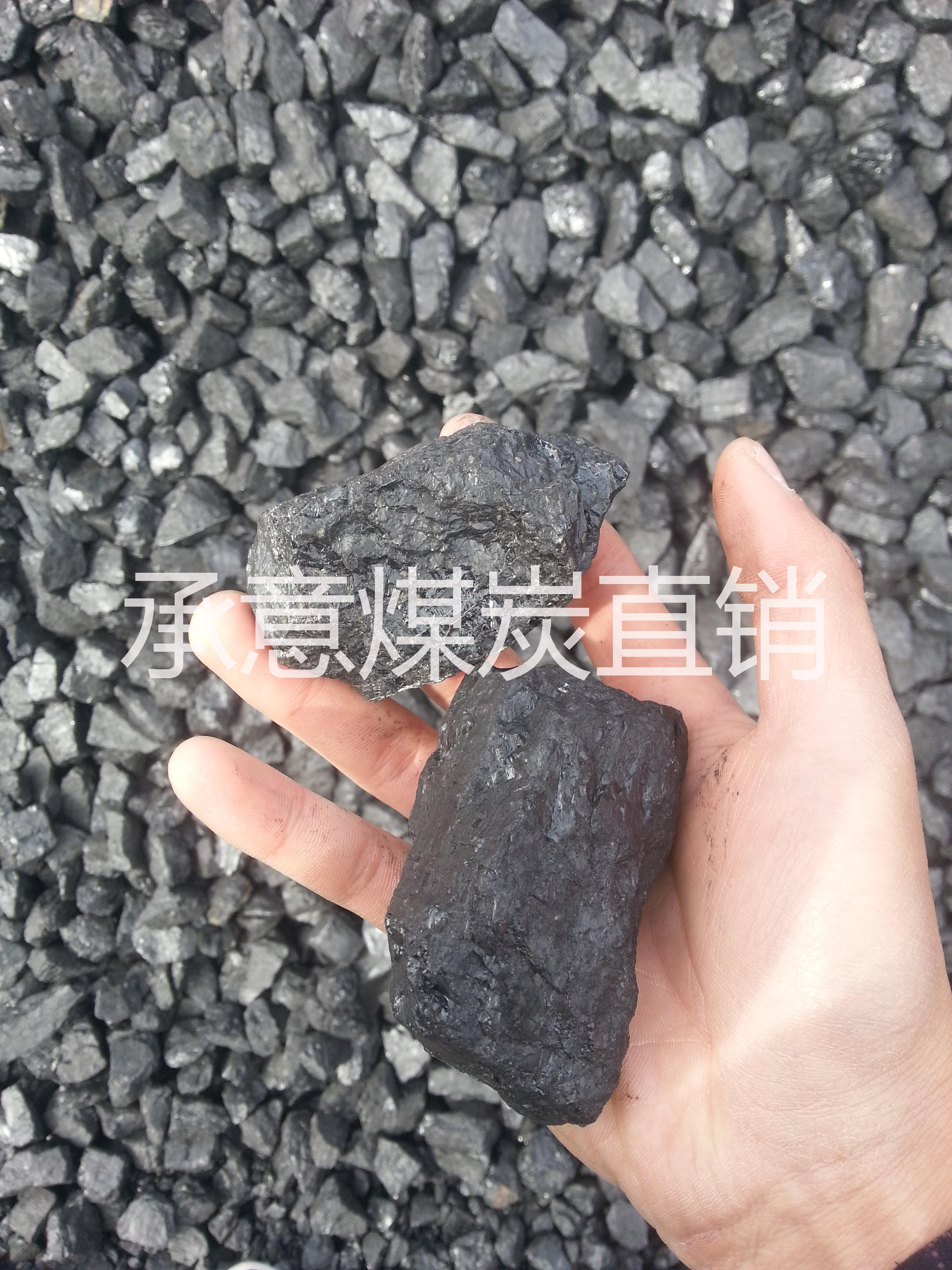 煤炭销售面煤籽煤块煤