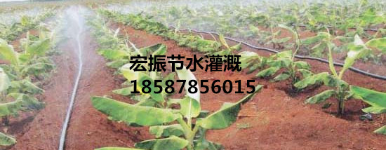 广西果树滴灌喷灌节水灌溉批发