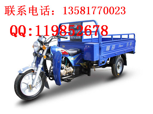 供应福田五星150ZH(LR)摩托三轮车正三轮摩托车图片