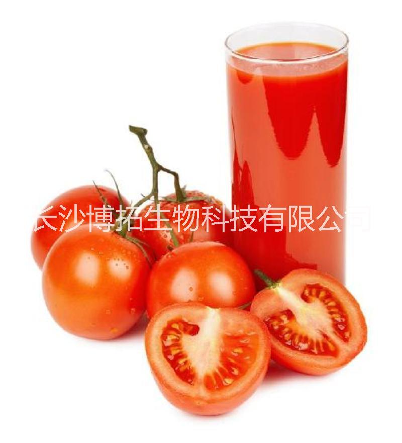 供应博拓 番茄提取物 番茄红素批发