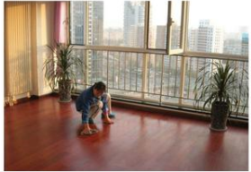 供应上海地板打蜡  上海办公楼地面清洗  上海PVC地面清洗   上海物业保洁公司