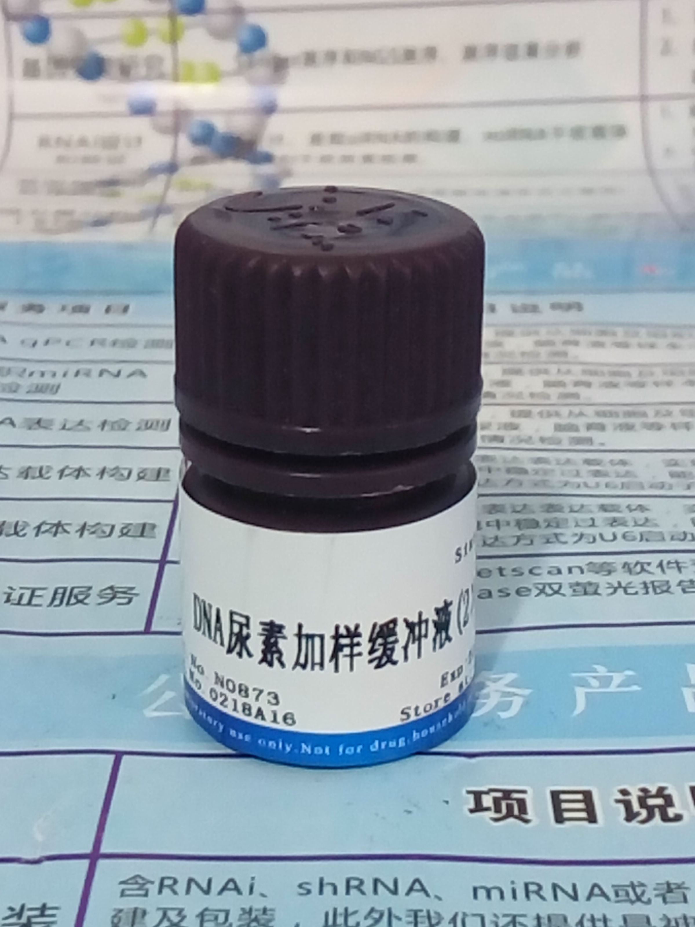 供应DNA尿素加样缓冲液(2×) NobleRyder N0873 5ml 现货 质量保证 量大优惠图片