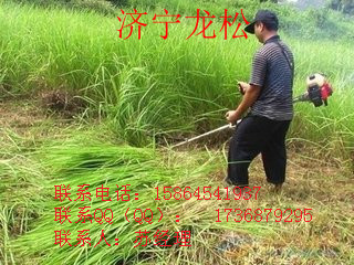 济宁市小型割草机厂家供应2016最新款园林小型割草机